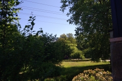 hdr