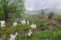 IMG_20240524_185052
